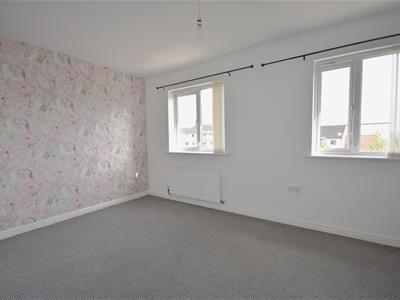 Picture 13